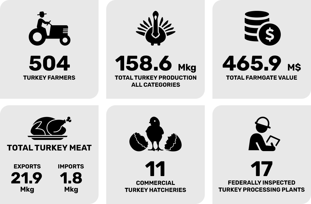 Industry Stats
