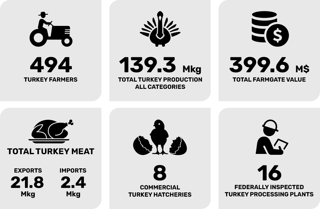 Industry Stats